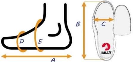 FUCHSIA SNAKE BILLY CLASSIC DIR II - Imagen 4